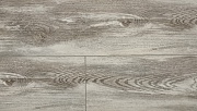 Ламинат  Kastamonu Sunfloor 8 mm Дуб Форвард