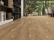 ПВХ Плитка Alpine Floor Solo Plus SPC ЕСО 14-301-R